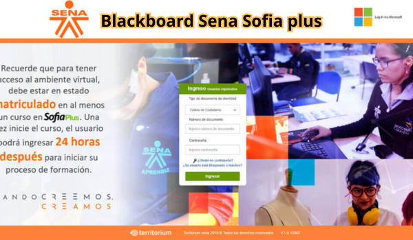 Blackboard Sena Sofia plus